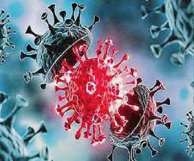 Corona Virus