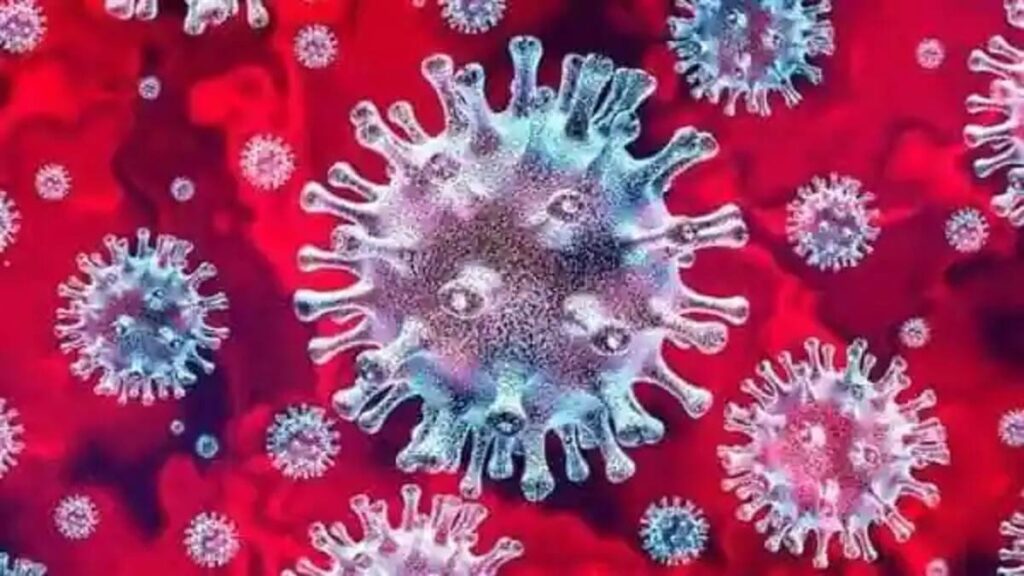 Corona Virus