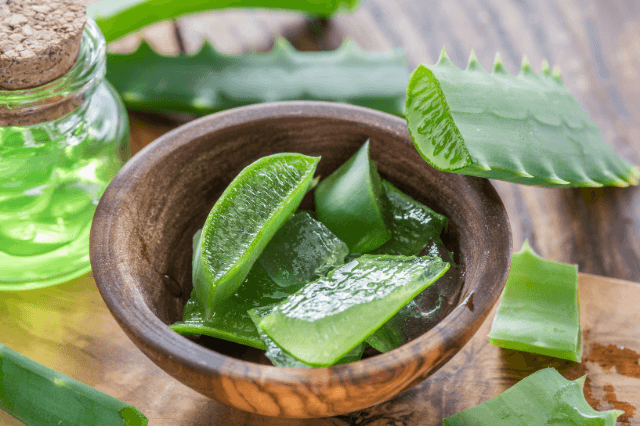 Aloe Vera