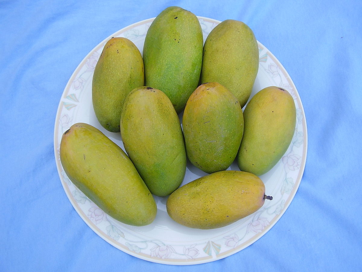 Types of Mangoes