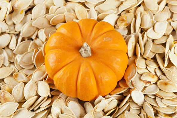 Pumpkin