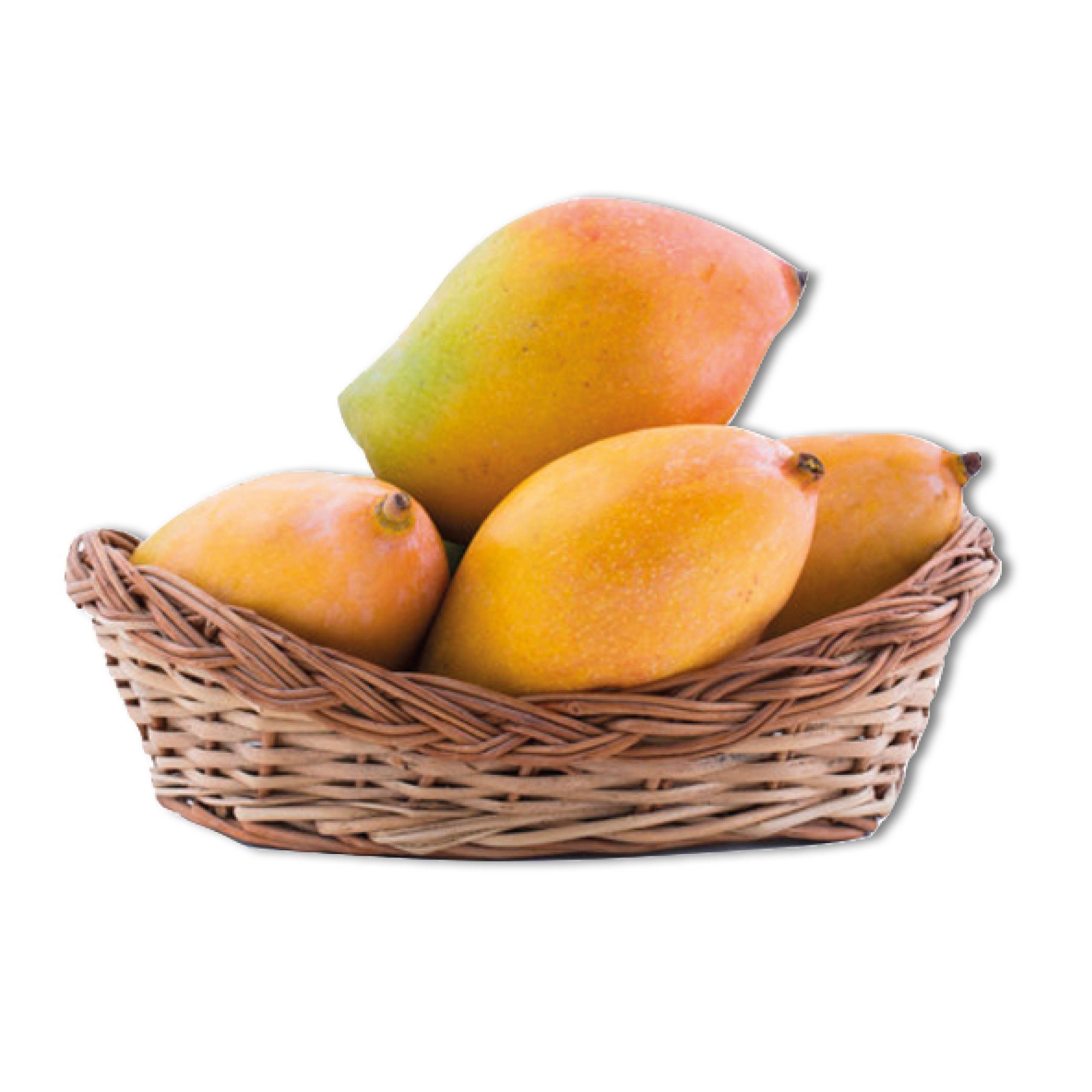 Types of Mangoes
