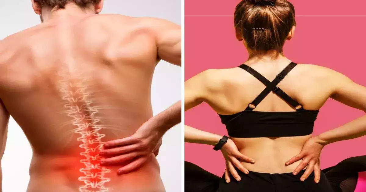 Health Tips:दर्द से पाये छुटकारा, पीठ दर्द जैसी समस्या से हैं परेशान