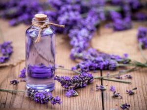 लैवेन्डर ऑयल का oil healthy