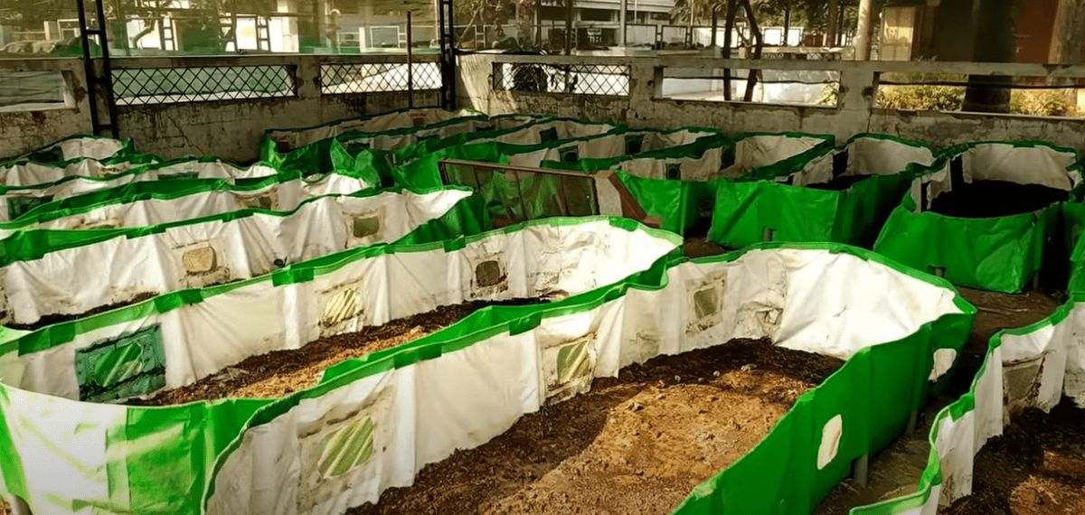 Vermicompost