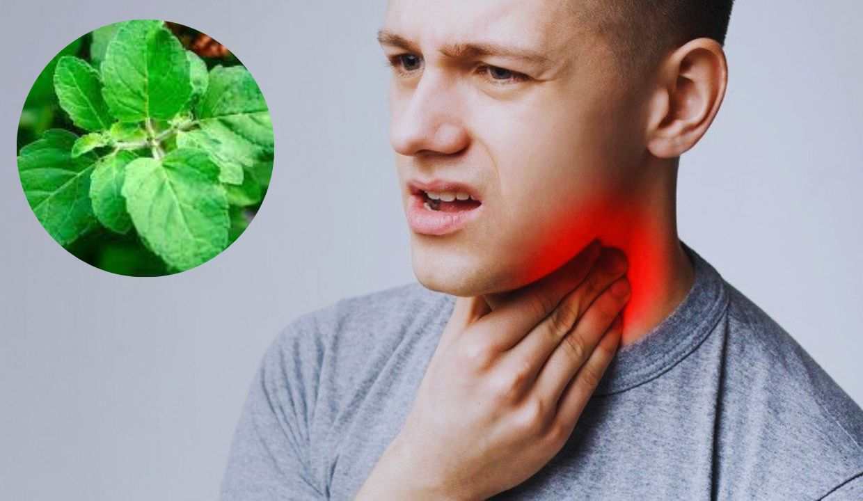 Tonsil