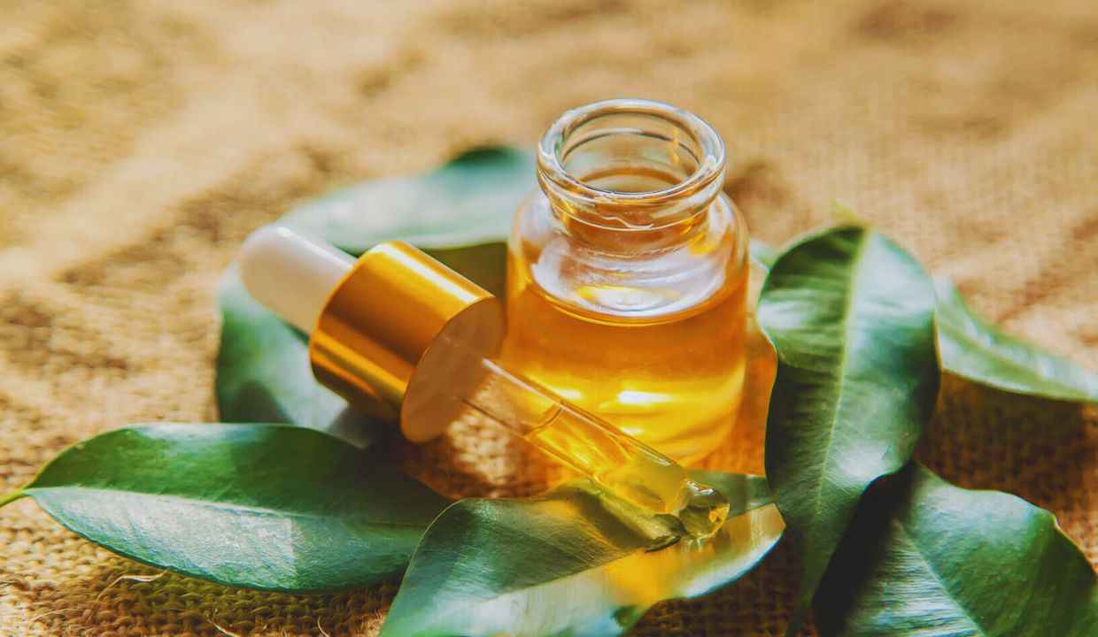 टी ट्री ऑयल