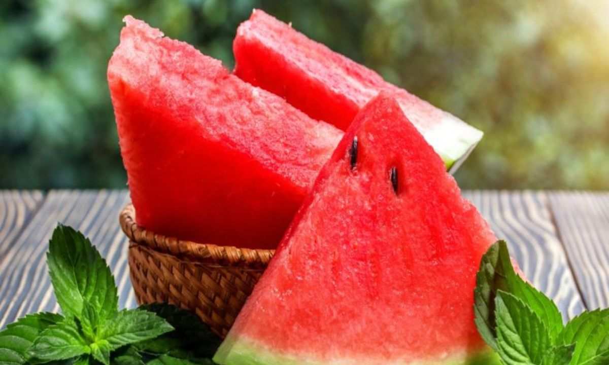 Body Hydrated Foods