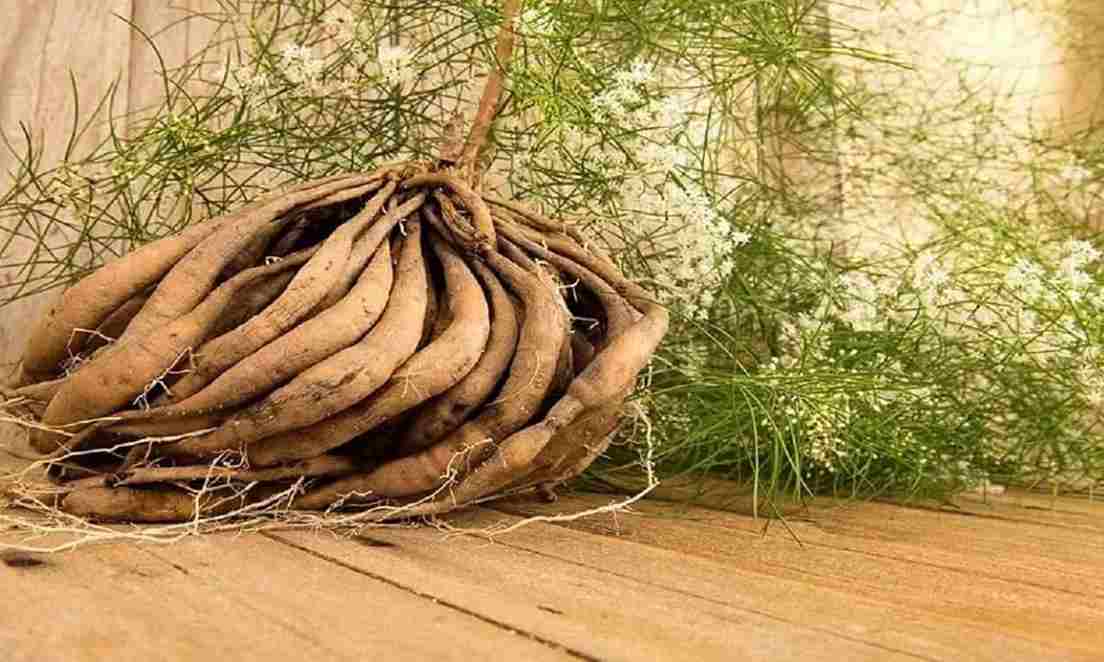 Body Hydrated Foods