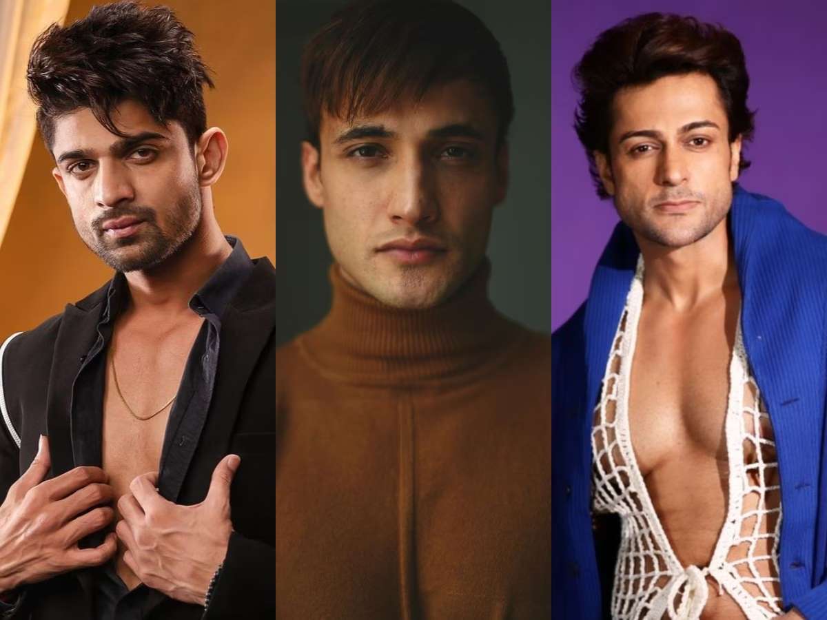 Asim Riaz Gets Into a Major Fight With Abhishek Kumar, Shalin Bhanot In KKK 14