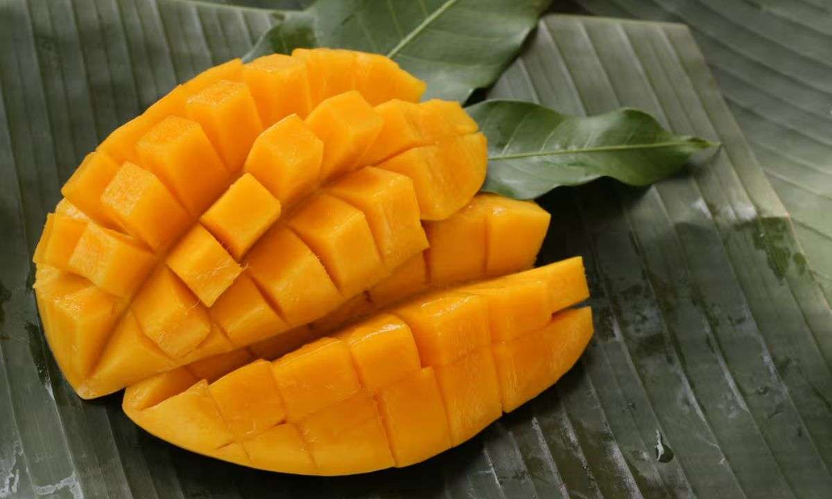 Mango season