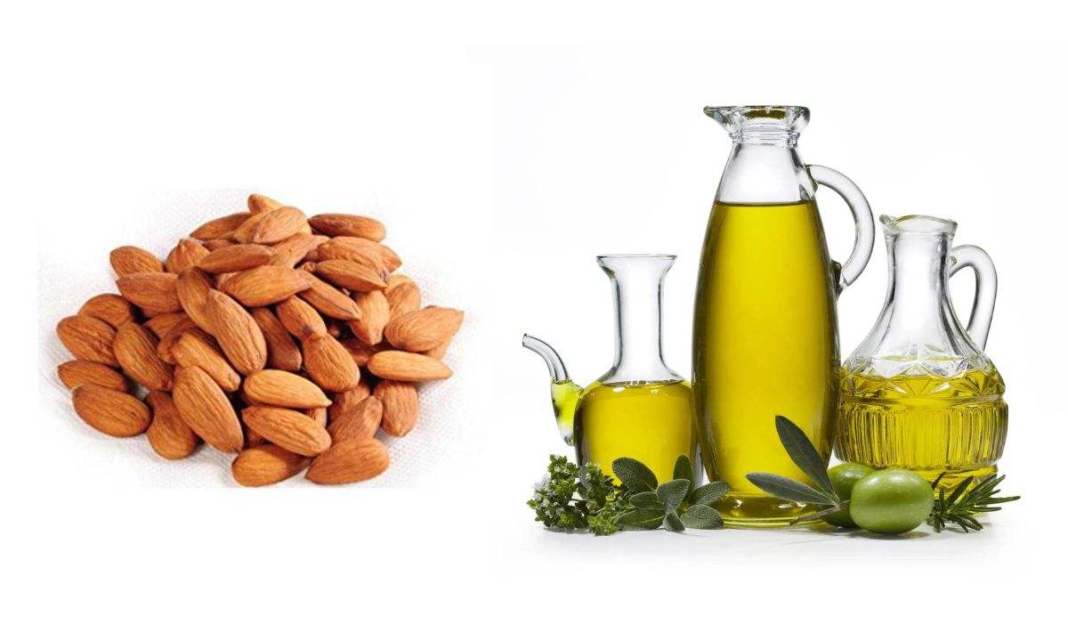 Olive Oil