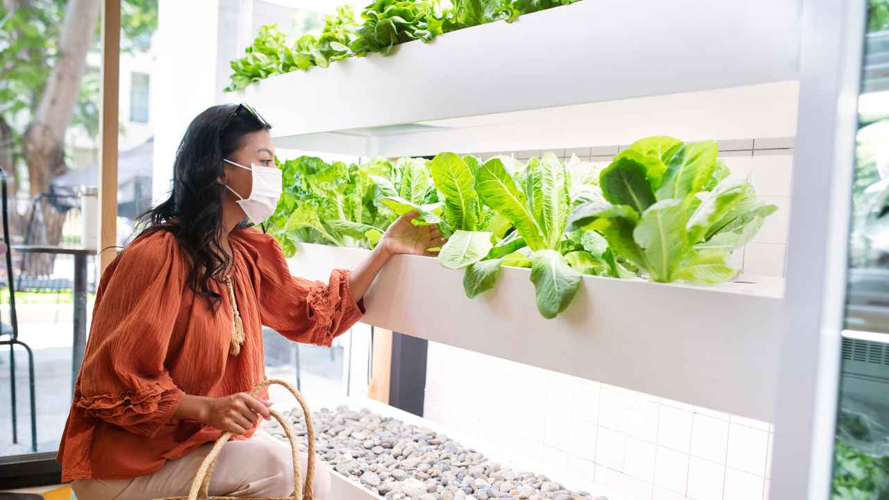 Vertical Farming