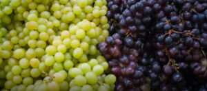 Grapes Benefits