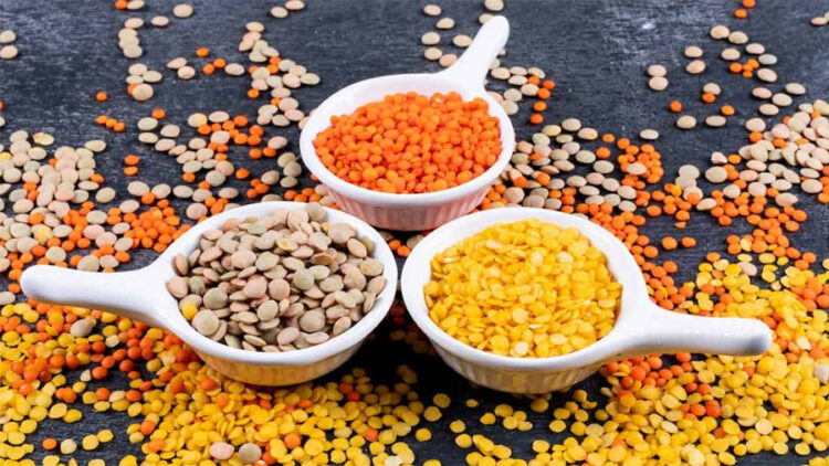 Highest Protein dal