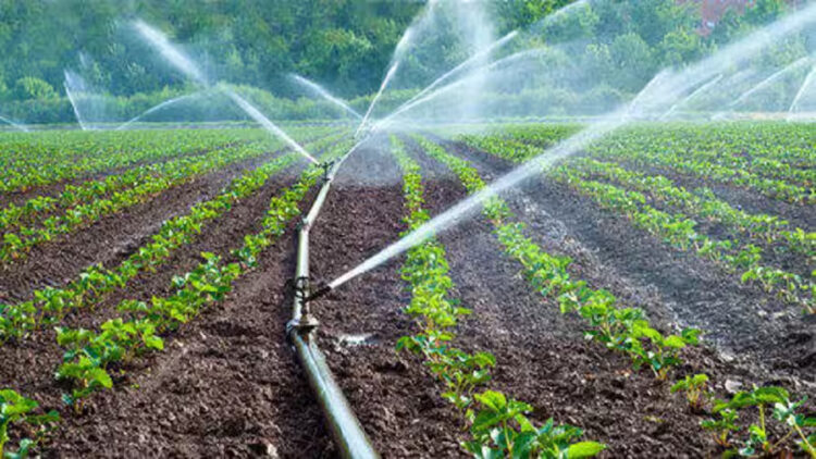 Kisan News