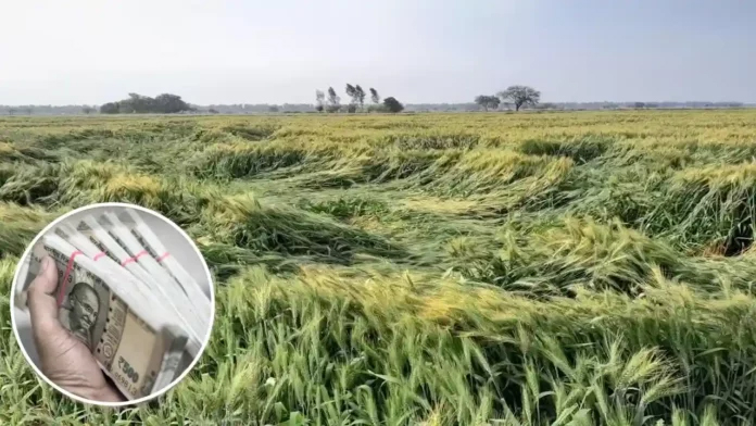 Kisan News