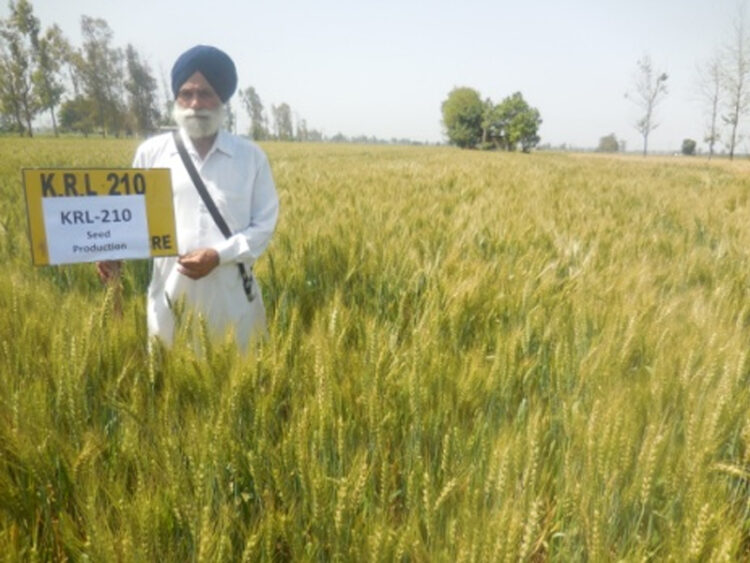Kisan Success Story