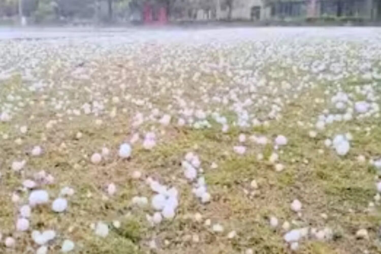 MP Mausam