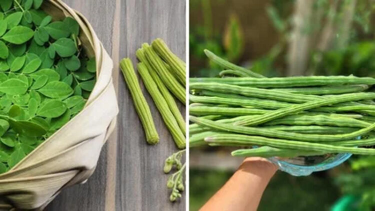 Moringa Benefits