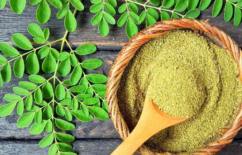Moringa leaves