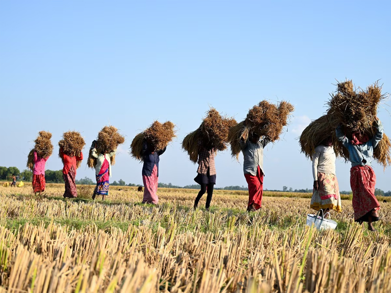 Natural Farming