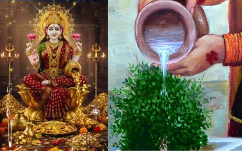 Tulsi Worship