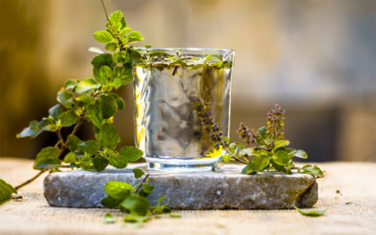 Tulsi water Benefits