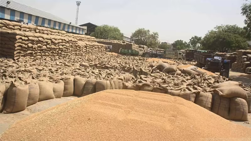 Wheat Procurement