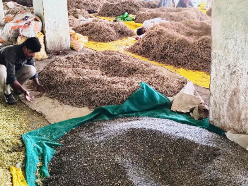 Herbal Market
