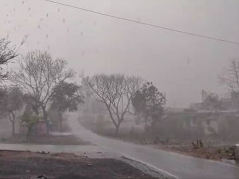 MP Mausam