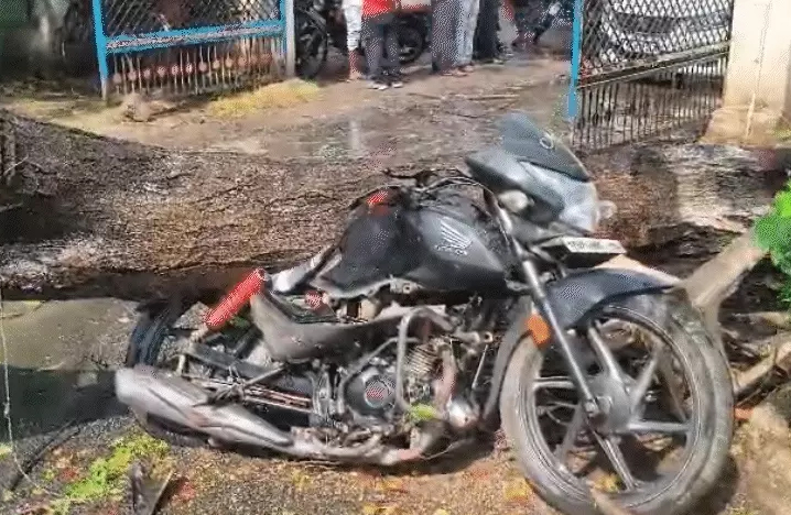 MP Mausam