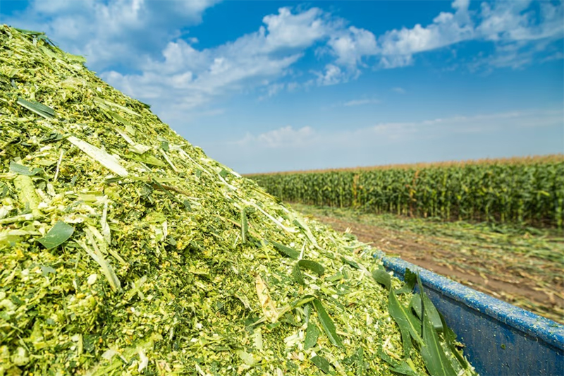 Silage Technology