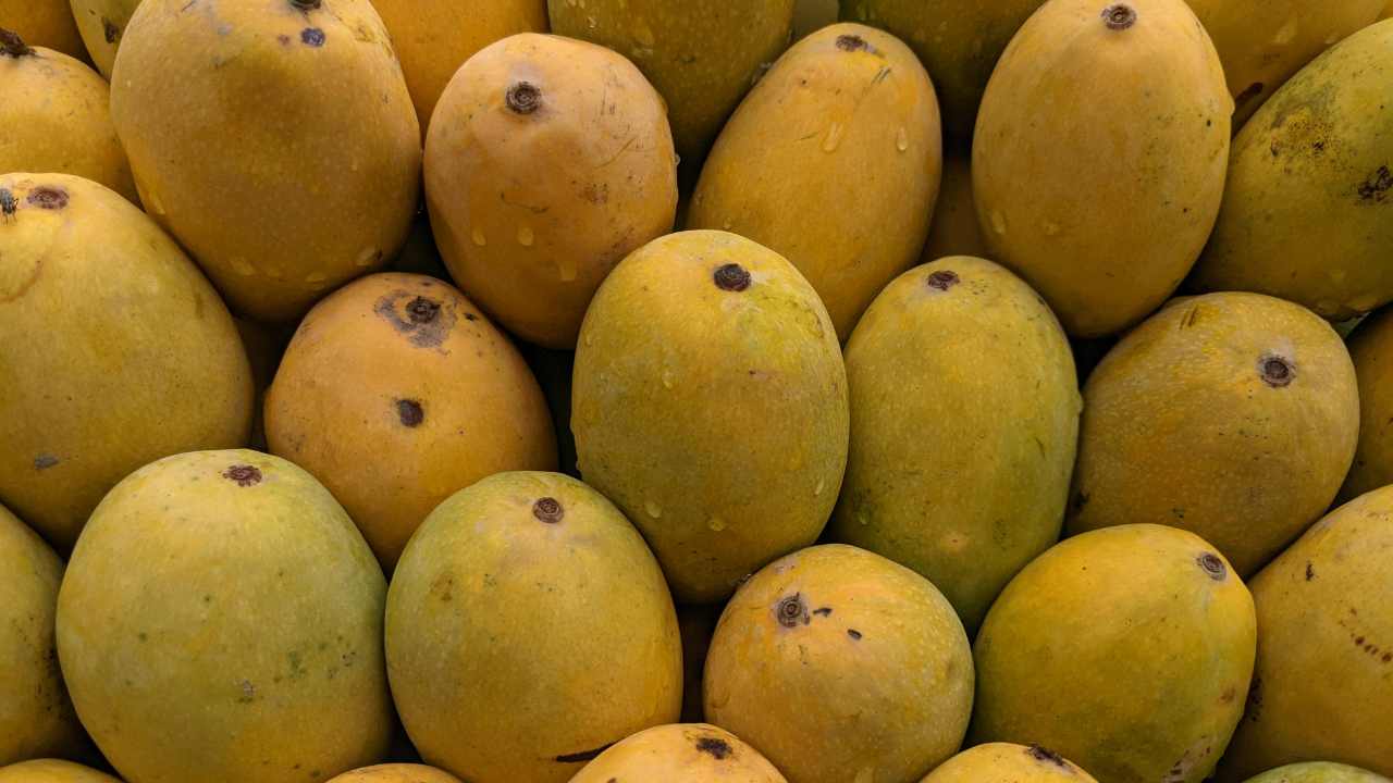 आम