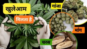 भारत के ऐसे 5 शहर जहां गैरकानूनी होने के बाद भी खुलेआम मिलता है गांजा