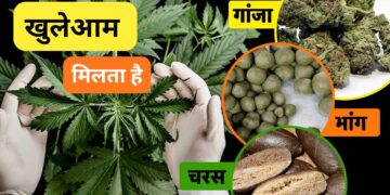 भारत के ऐसे 5 शहर जहां गैरकानूनी होने के बाद भी खुलेआम मिलता है गांजा