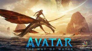 Avatar 2 got good responses in India