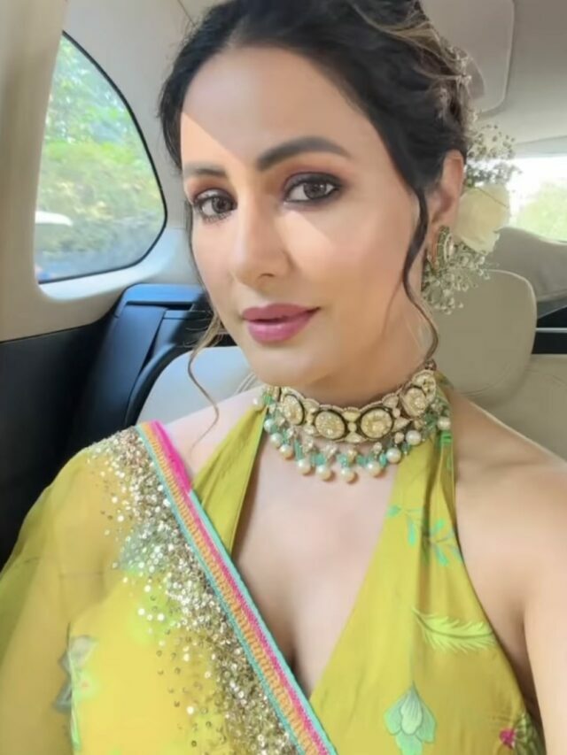 हिना खान से लेकर अली-जैस्मिन तक, शादी के कार्यक्रम में टीवी सितारों ने बिखेरा जलवा