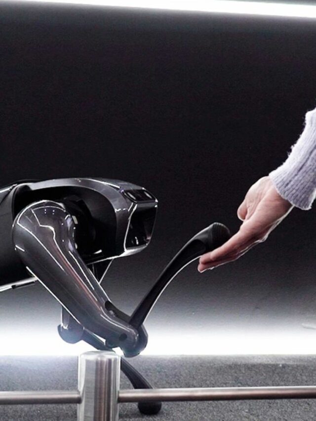 Telecom Giant Oppo to Unveil It's First Robo Dog Named Oppo Qric