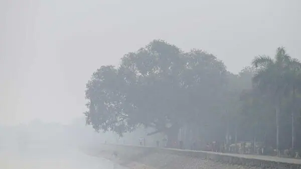 Visibility hits Zero in North India.