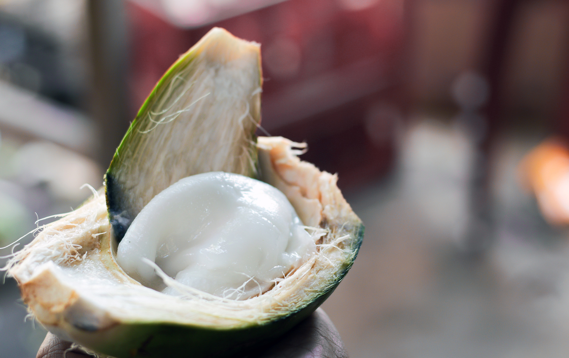 Coconut Malai Benefits