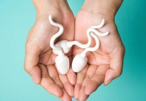 गर्भनिरोधक गोलियों