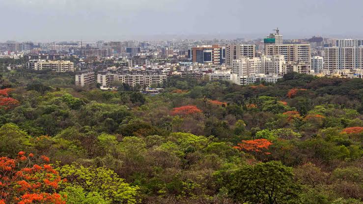 Mumbai Aarey forest