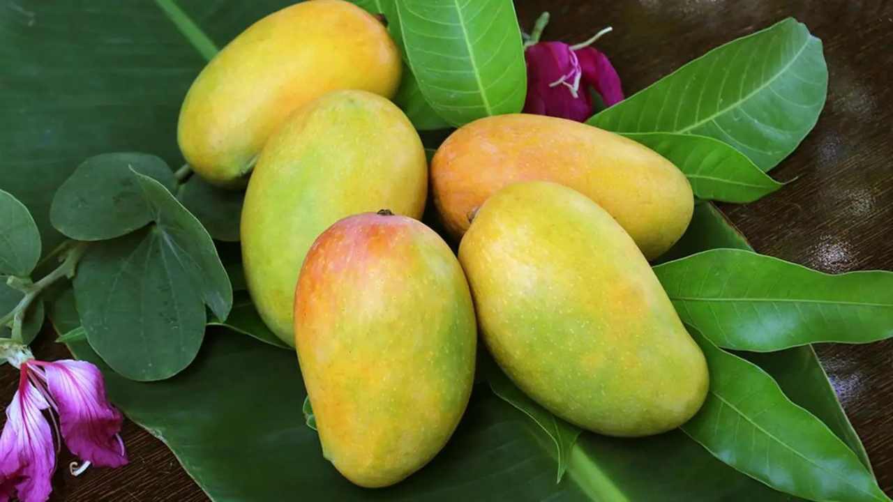 केसर आम केसर आम
