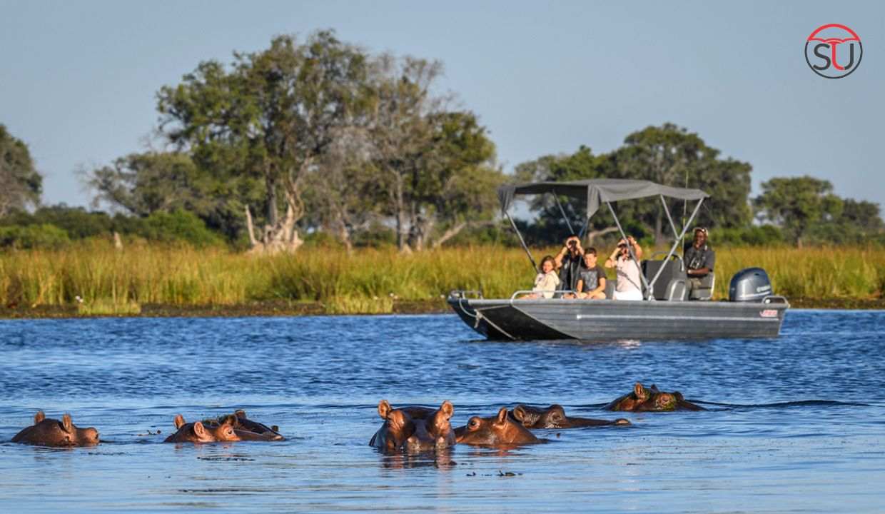Bharat 80 11zon Okavango Delta