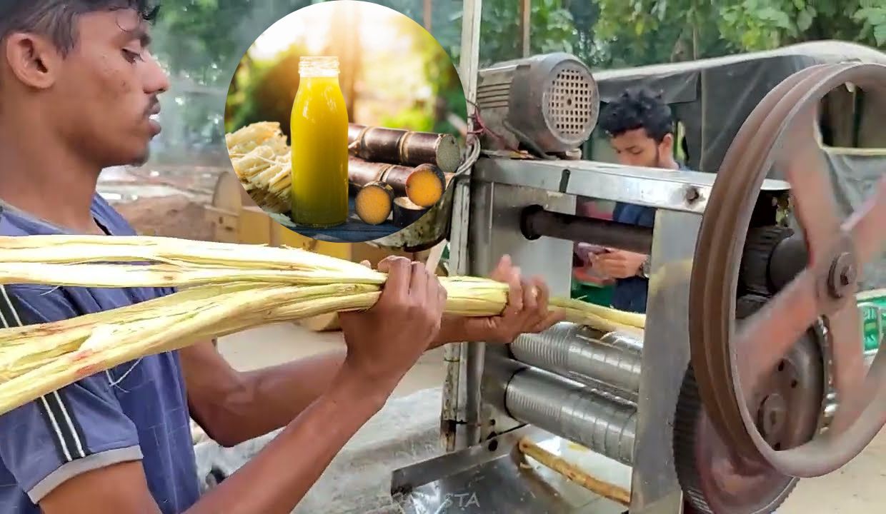 Sugarcane Juice Business