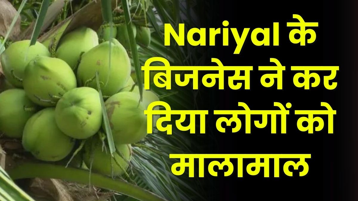 Nariyal business