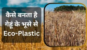 Eco-Plastic
