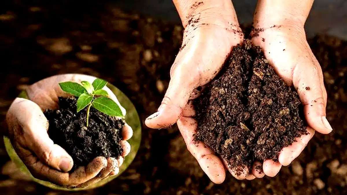 Vermicompost