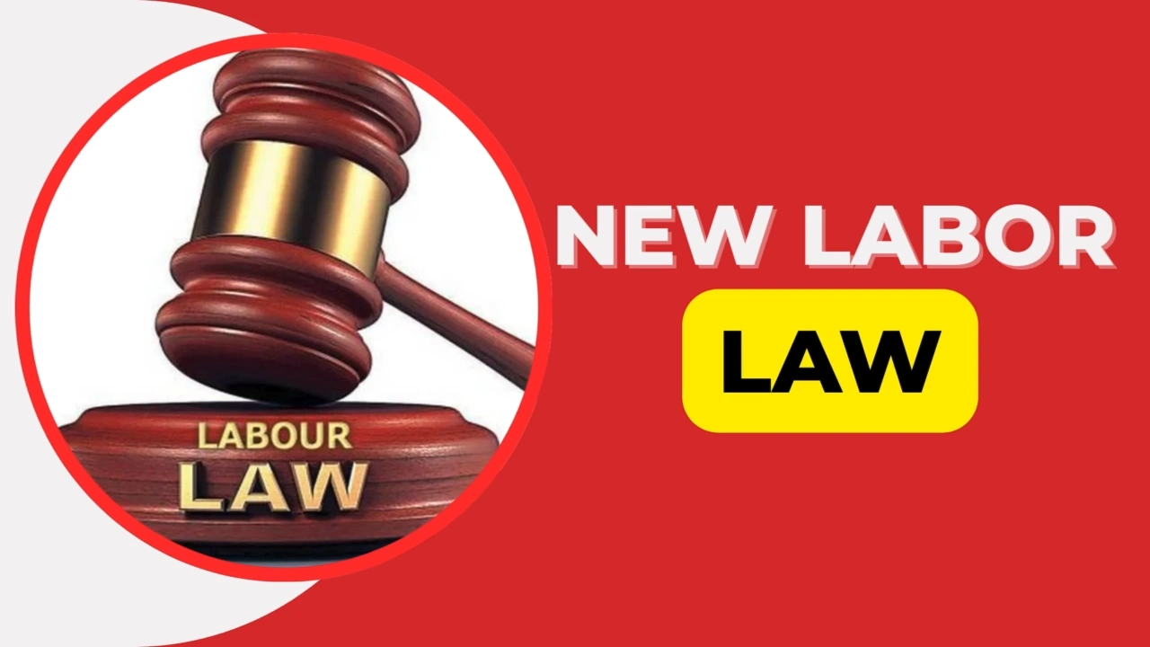 Labour Law
